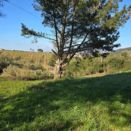 Quinta Nova Appartamento *