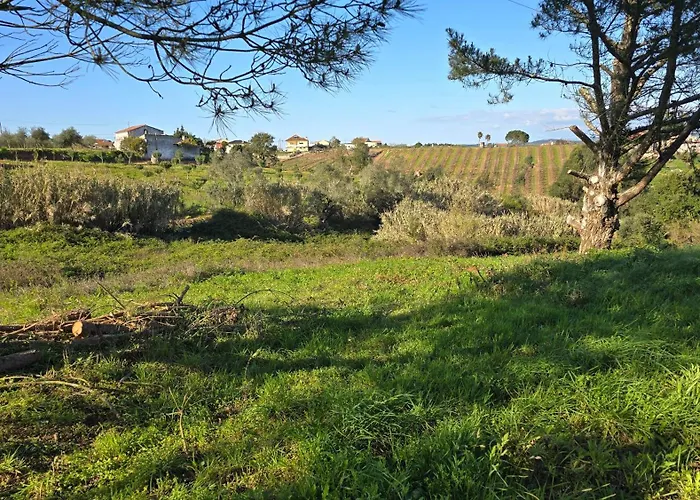 Lejlighed Quinta Nova