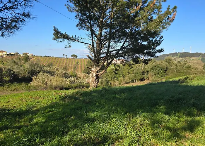 Quinta Nova Lejlighed *