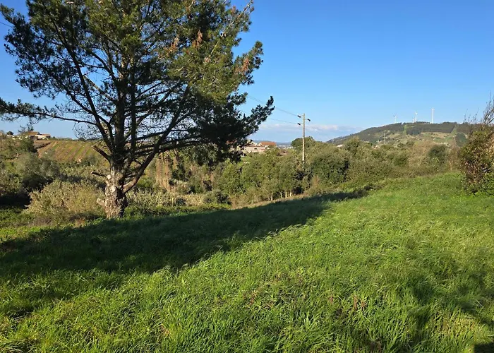 Quinta Nova Appartamento Cadaval